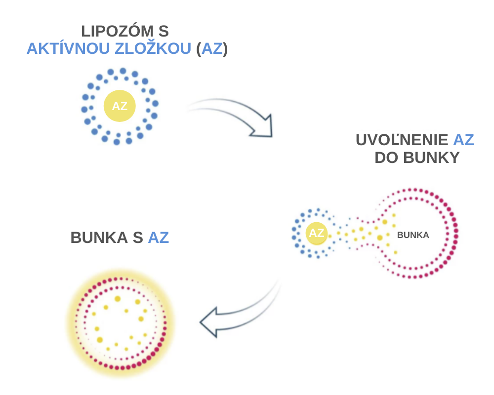 LIPOSOMAL TECHNOLOGY kolagendrink (1)